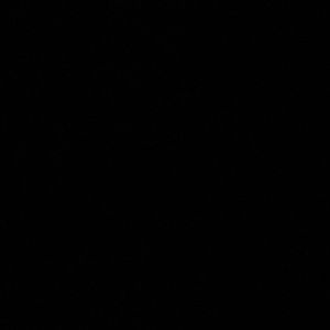 Meet your Posher, Natalia